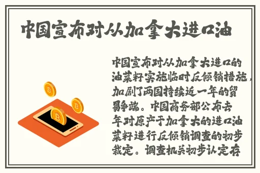 麻豆视传媒二区在线